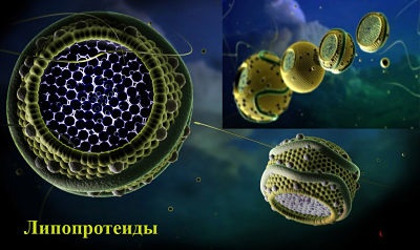 Пакет №3 (Ліпопротеїди фракційно) :: Міський лікувально-діагностичний центр м.Вінниця (МЛДЦ Вінниця)